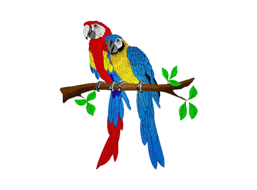 14_parot_1